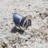 Ring Spin - Sterling silver 925